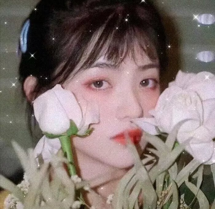 棋盘上的向日葵